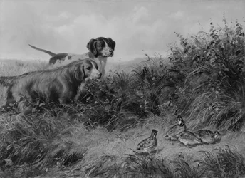 Auf Spitze, 1874