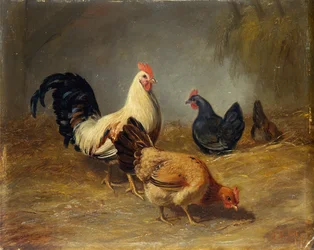 Geflügelfütterung