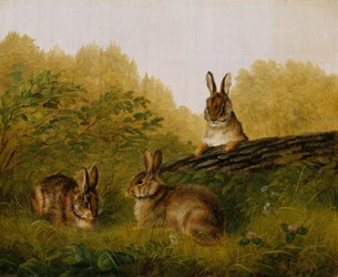 Kaninchen auf einem Baumstamm, 1897