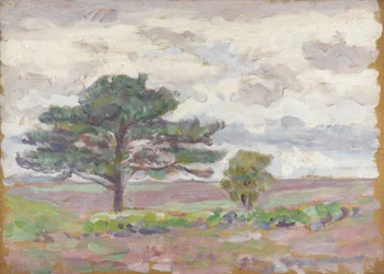 Buchenbaum