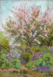 Kirschblüte mit Gitterzaun darunter