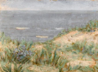 Meeresblick mit Dünen, blühendem Seegras, ca. 1900