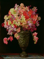 Duftwicken, Sommerfest, 1930