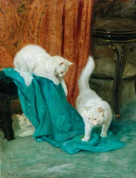 Katzen spielen