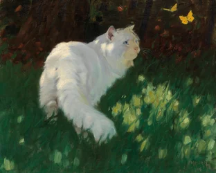 Weiße Katze und Schmetterlinge
