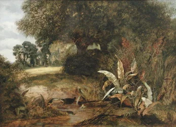 Eine ruhige Ecke