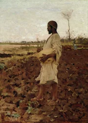 Ein ägyptischer Sämann, 1881