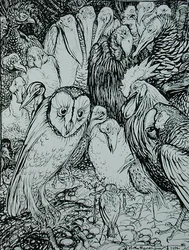 Die Eule und die Vögel, Illustration aus 