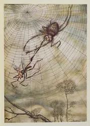 Die Spinne und die Fliege, Illustration aus „Äsops Fabeln“, veröffentlicht von Heinemann, 1912
