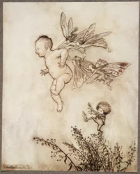 Sie kitzelten ihn alle auf der Schulter .., aus Peter Pan in Kensington Gardens von J. M. Barrie (1860 - 1937), veröffentlicht 1906