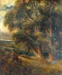 Baumstudie