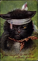 Katze, du solltest den anderen Kerl sehen
