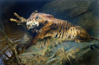 Tiger und Krokodil