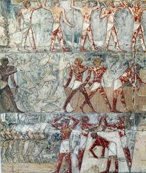 Kunst Ägypten: landwirtschaftliche Szene, 6. Dynastie