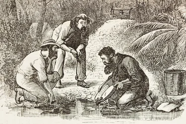 Australien (1880). Das Leben der Goldgräber in Botany Bay (gegründet 1788). (Stich)