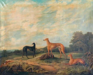 Landschaft, vier Windhunde im Vordergrund