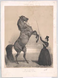 Lebte um 1860 Tourniaire