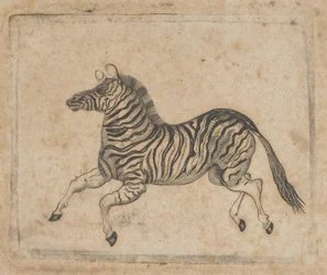 Banknoten-Vignette mit einem Zebra, ca. 1824-37