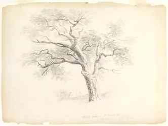 Die Kastanieneiche auf dem Hosack-Anwesen, Hyde Park, New York mit fünf Figuren und einem Künstler beim Skizzieren, 1838