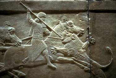 König Ashurnasirpal II. bei einer königlichen Löwenjagd, 650-620 v. Chr.