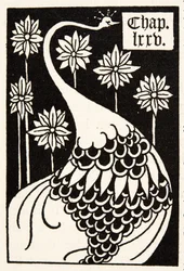 Pfau, Kapitelüberschrift