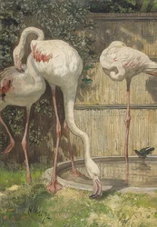 Drei Flamingos an einem Wasserbecken