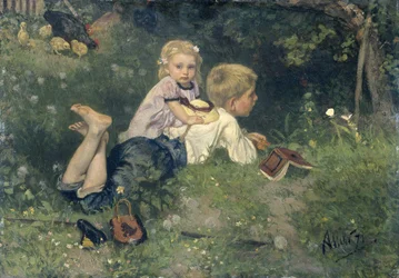 Die Schmetterlinge