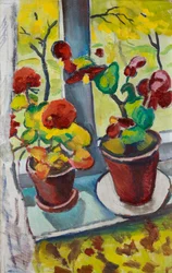 Blumen am Fenster Begonien in Töpfen I