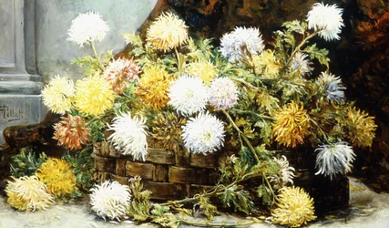 Chrysanthemen in einem Korb
