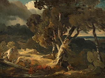 Sturmlandschaft