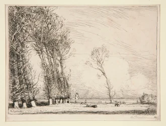 Vorhang aus Pappeln (Vendée)