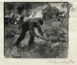 Heidekrautjäger