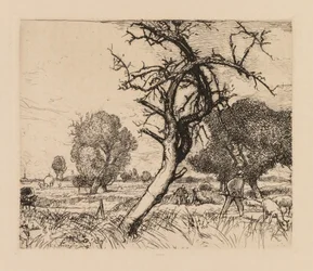 Auguste Lepère: Der tote Apfelbaum Picardie, 1913