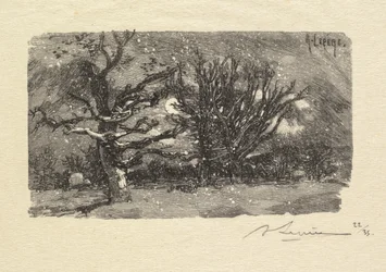 Fontainebleau-Wald: Am Schlafplatz von Lantara (La Forêt de Fontainebleau: Au dormoir de Lantara)