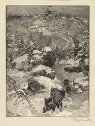 Wald von Fontainebleau: Cuvier-Châtillon-Fels