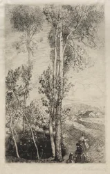 Der kleine Teich