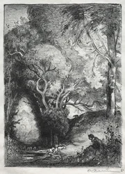 Die Schlucht im Juni