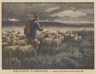 Flucht vor dem Sturm
