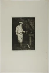 Das Mittagessen der Katze