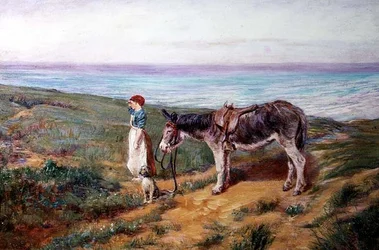 Ferne Anblicke