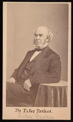 Porträt von Peter Parker 1804-1888, 1869