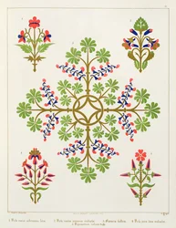 Rosenmotiv Tapetendesign, gedruckt von M. und N. Hanhart