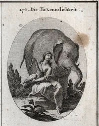 Allegorie der Dankbarkeit. Ihre Symbole sind der Storch, weil er seinen Eltern im Alter denselben Dienst erweist, den er in der Jugend erhalten hat, und der Elefant, weil er sehr dankbar ist und bereit ist, sein Leben zu riskieren, um für seinen Herrn zu k