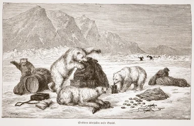 Eisbären greifen unser Gepäck an, veröffentlicht in Wien 1876