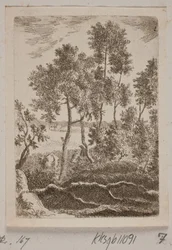 Waldpartie