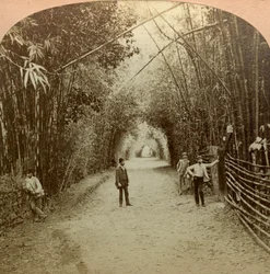 Der Mardyke, Cork, Irland