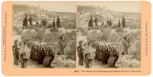 Der Garten Gethsemane und der Ölberg, Palästina, 1898