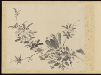 Verfeinerte Eleganz in den vier Jahreszeiten (Shiji seiga), Album von Blumenmalereien