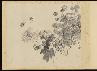 Verfeinerte Eleganz in den vier Jahreszeiten, Album der Blumenmalerei