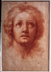 Studie eines Frauenkopfes, der feste Blick richtet sich nach oben. Zeichnung in Tinte und Waschung von Franceschini Baldassare genannt il Volterrano (1611-1689). 17. Jahrhundert. Maße: 0,42x0,28m. Paris, Louvre Museum